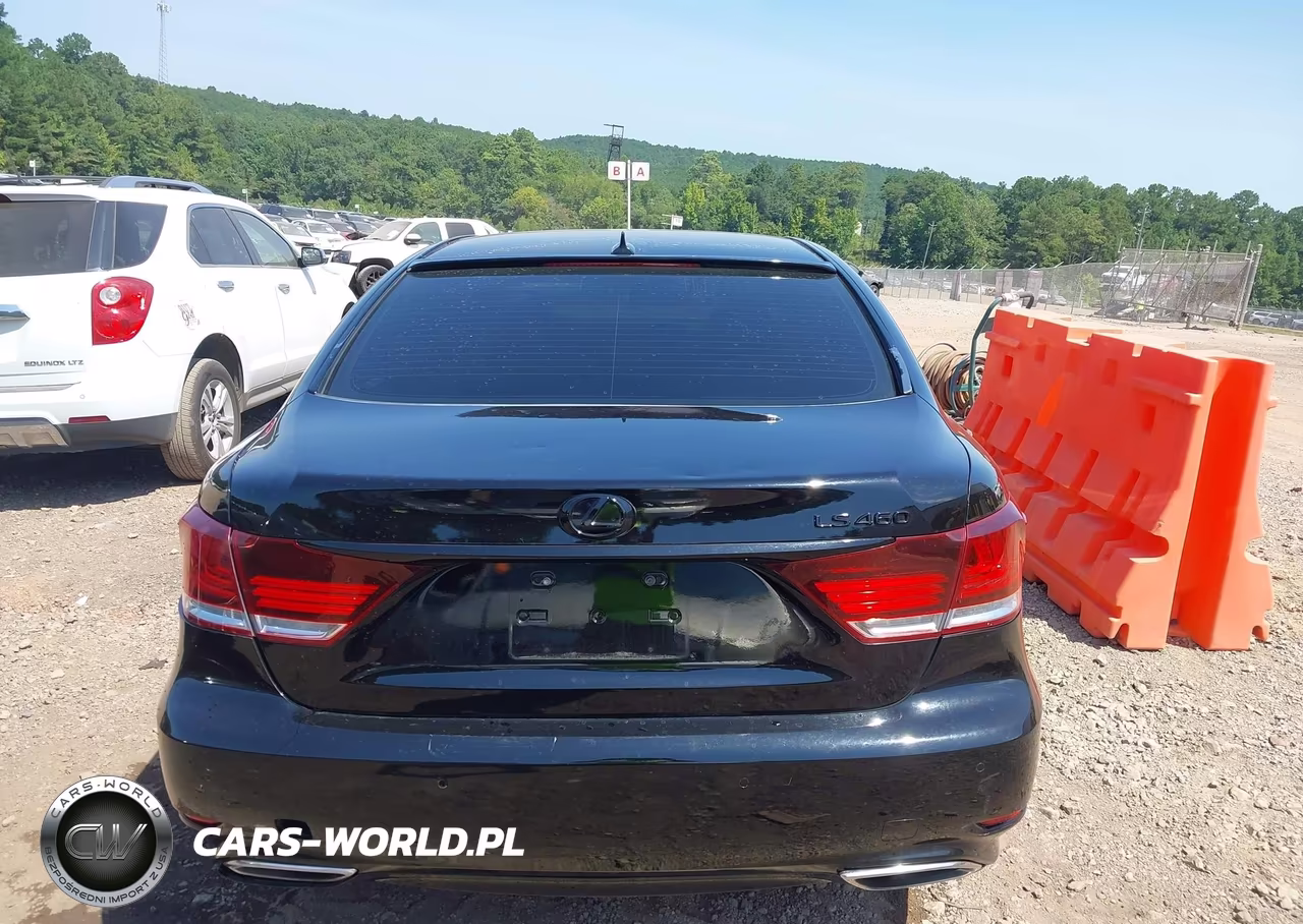 2013 Lexus Ls 460 VIN:JTHBL5EFXD5123385 - 16