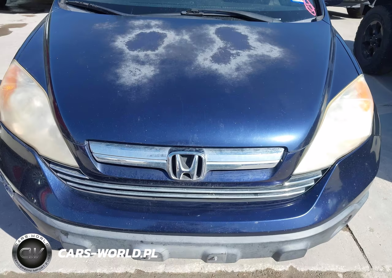 2009 Honda Cr-V Ex-L VIN:JHLRE387X9C005443 - 6