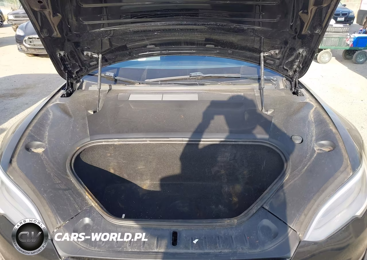 2021 Tesla Model S Long Range Dual Motor All-Wheel Drive VIN:5YJSA1E57MF428445 - 10