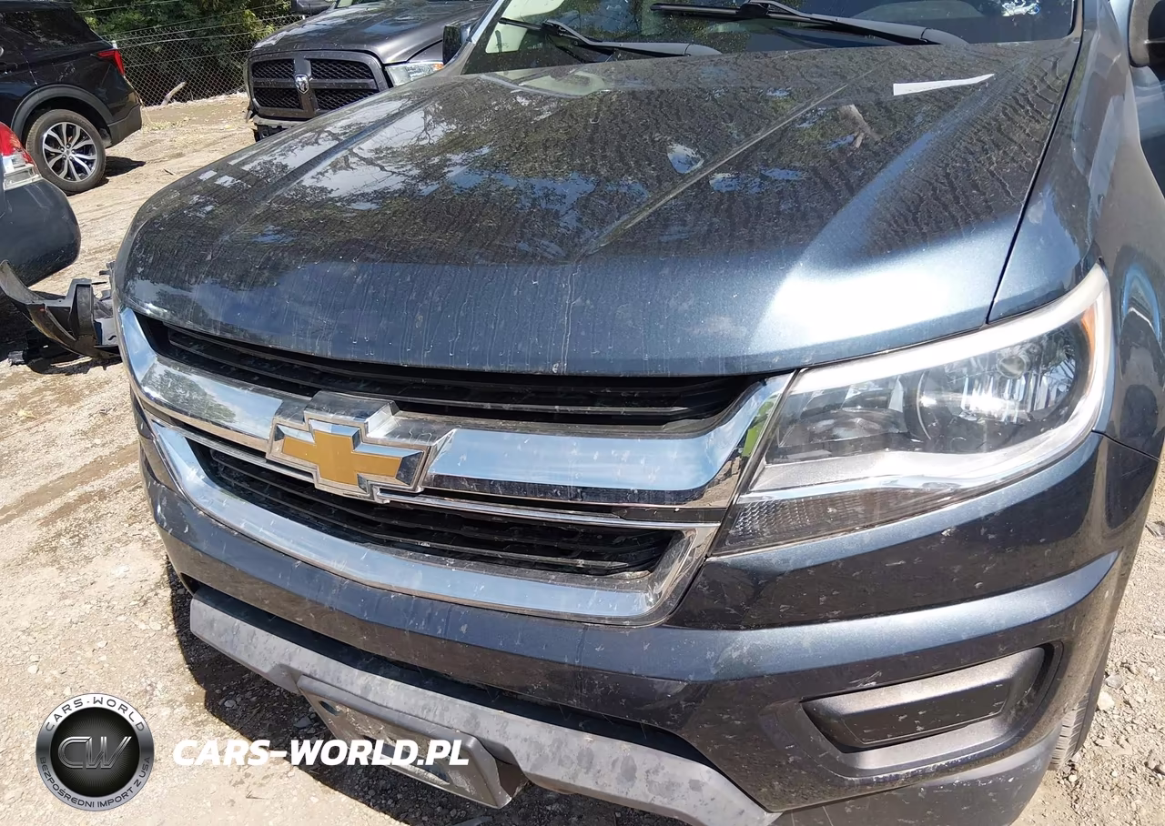 2019 Chevrolet Colorado Lt VIN:1GCGTCEN8K1103613 - 6