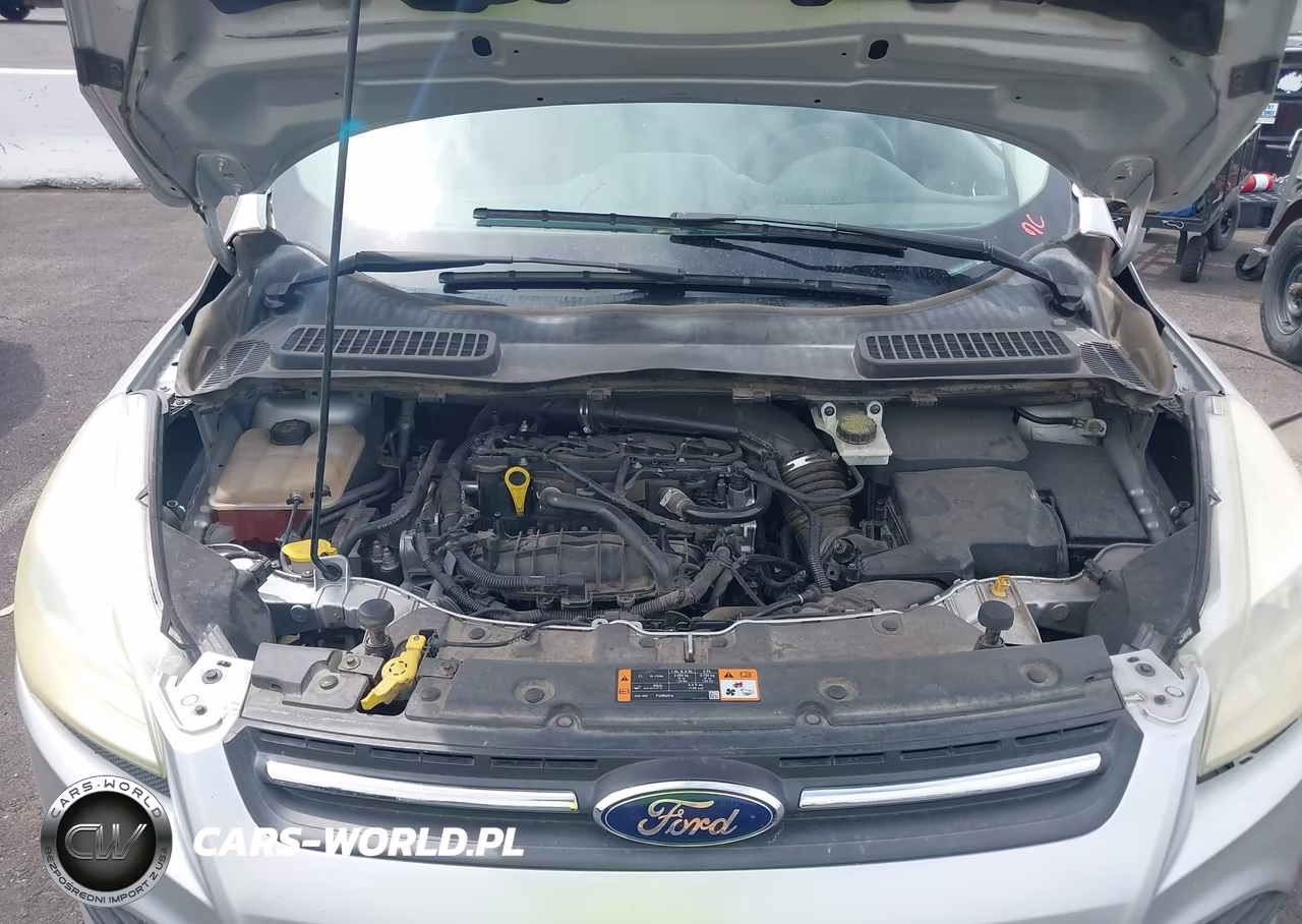 2015 Ford Escape Se VIN:1FMCU0GX3FUB86084 - 10