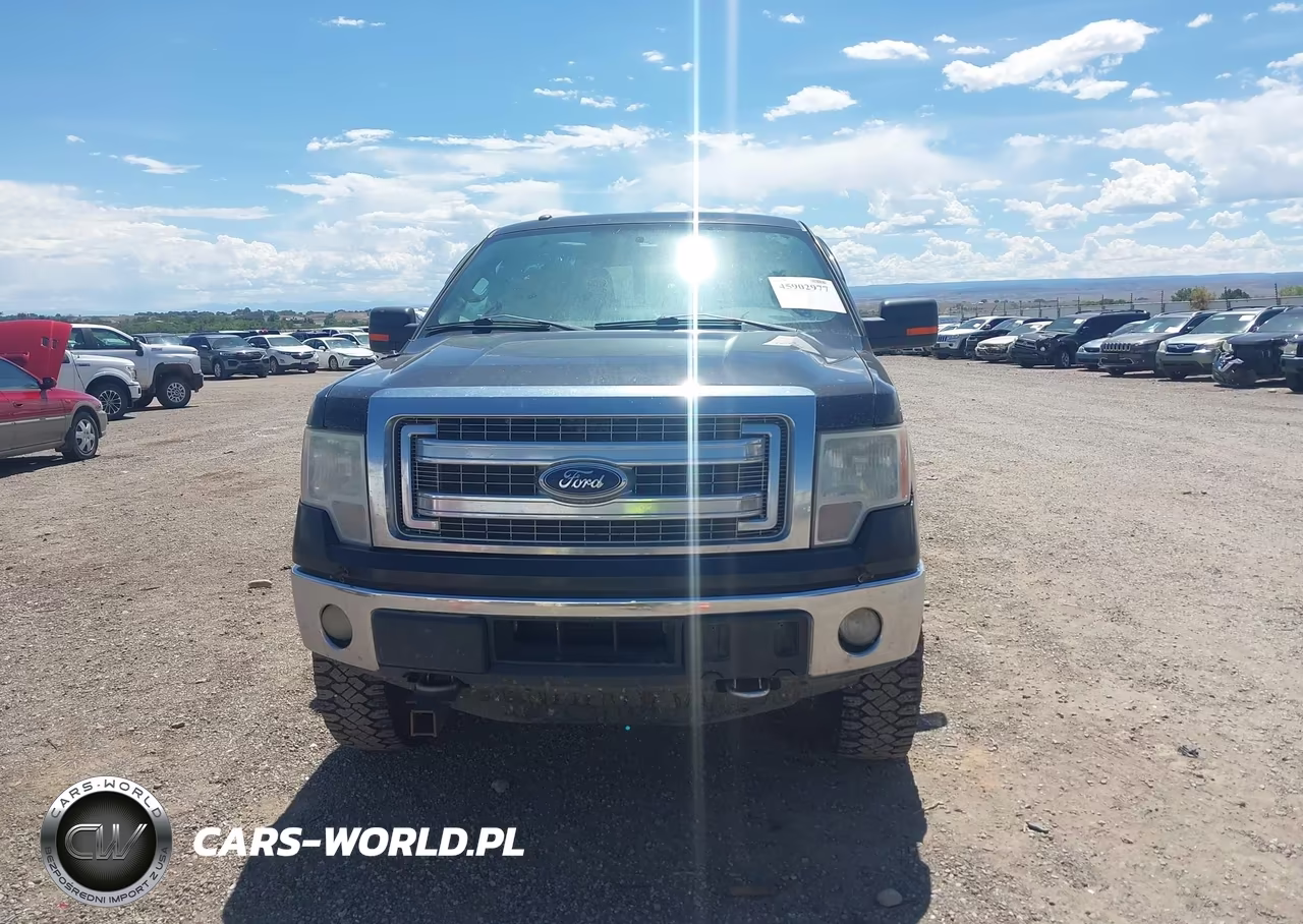 2014 Ford F-150 Xlt VIN:1FTFW1ET7EKG43930 - 13