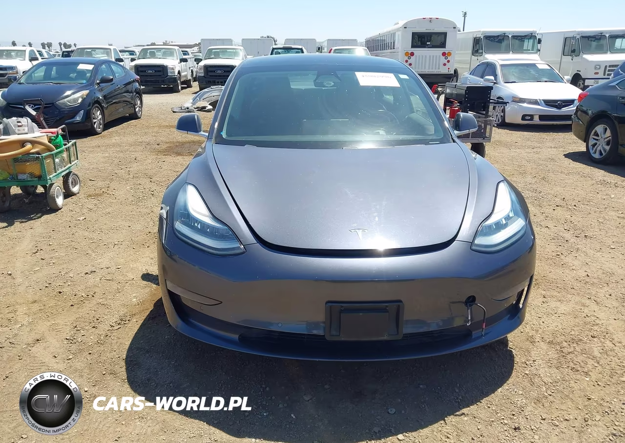 2019 Tesla Model 3 Long Range-Mid Range-Standard Range-Standard Range Plus VIN:5YJ3E1EA9KF362452 - 11