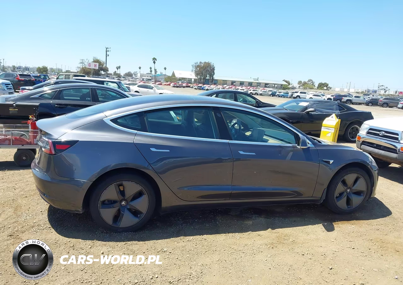 2019 Tesla Model 3 Long Range-Mid Range-Standard Range-Standard Range Plus VIN:5YJ3E1EA9KF362452 - 12