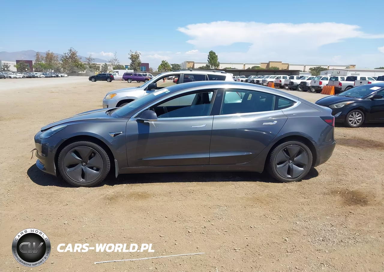 2019 Tesla Model 3 Long Range-Mid Range-Standard Range-Standard Range Plus VIN:5YJ3E1EA9KF362452 - 13