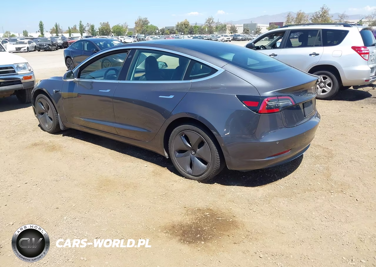 2019 Tesla Model 3 Long Range-Mid Range-Standard Range-Standard Range Plus VIN:5YJ3E1EA9KF362452 - 3