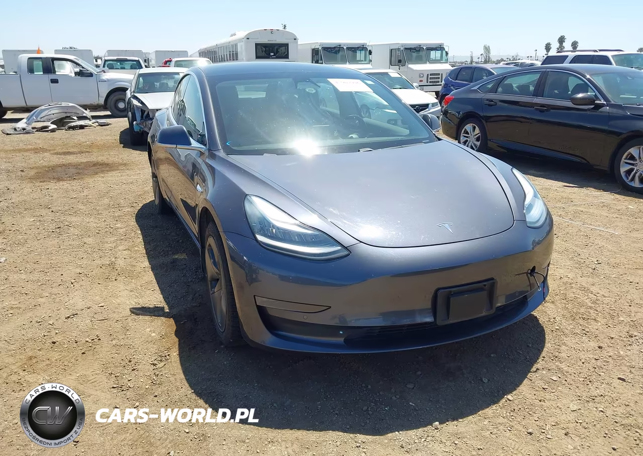 2019 Tesla Model 3 Long Range-Mid Range-Standard Range-Standard Range Plus VIN:5YJ3E1EA9KF362452 - 6