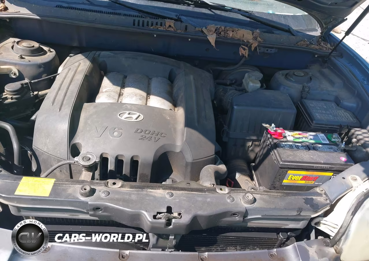 2002 Hyundai Santa Fe Gls-Lx VIN:KM8SC13D62U286092 - 10