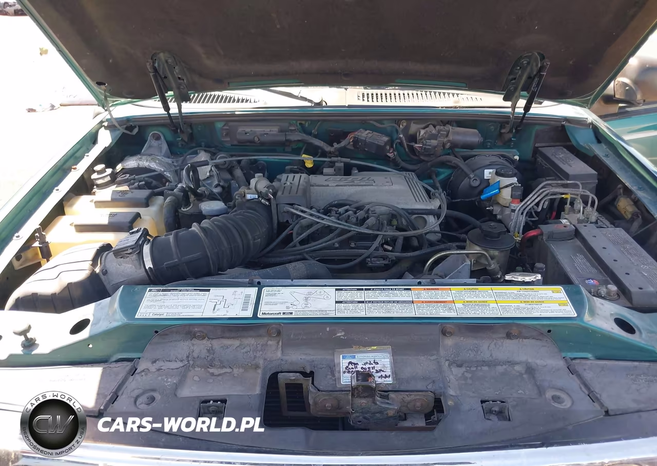 1998 Ford Explorer Eddie Bauer-Limited-Xlt VIN:1FMZU32P5WZC18846 - 10