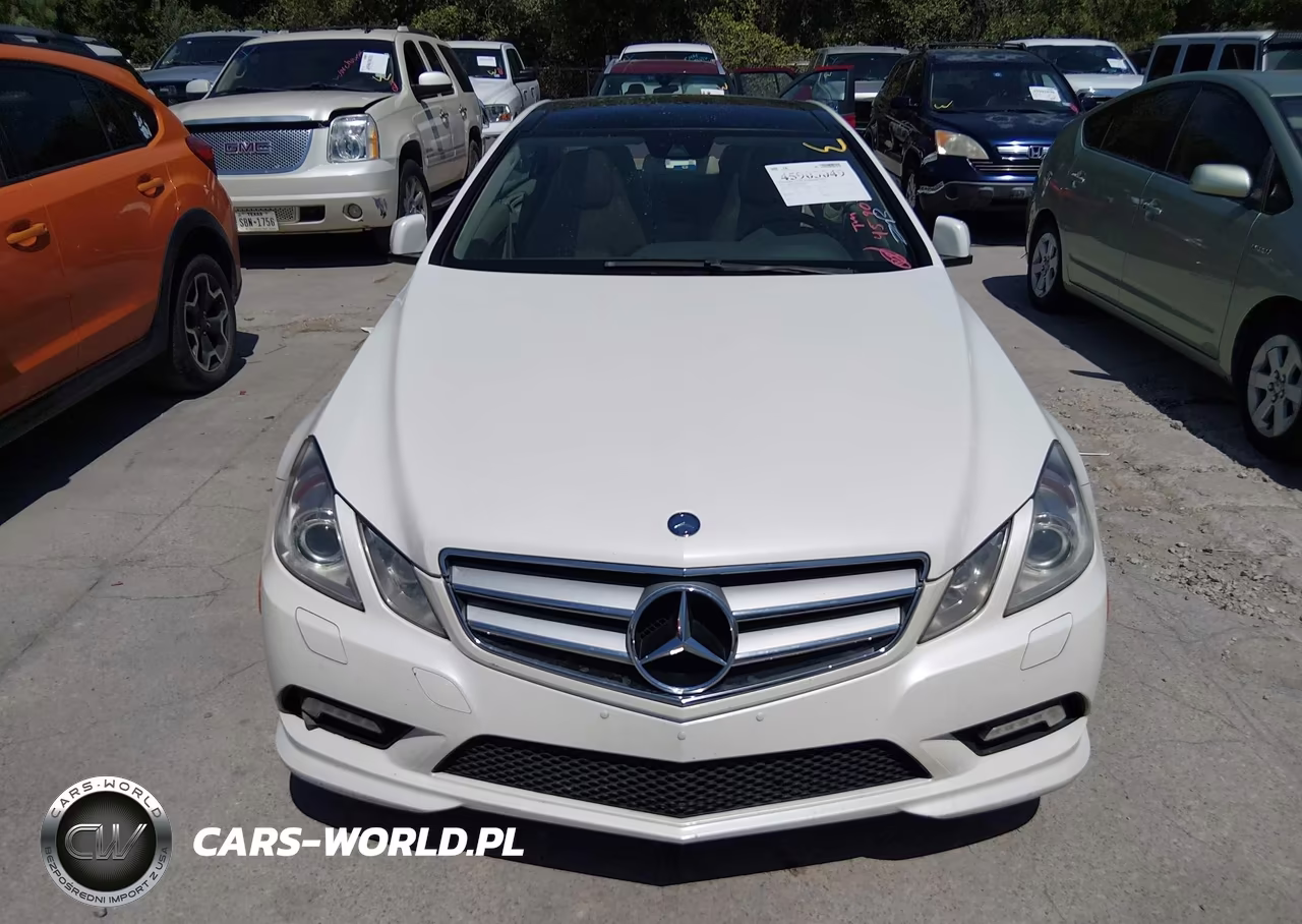 2010 Mercedes-Benz E 550 VIN:WDDKJ7CB7AF031424 - 12