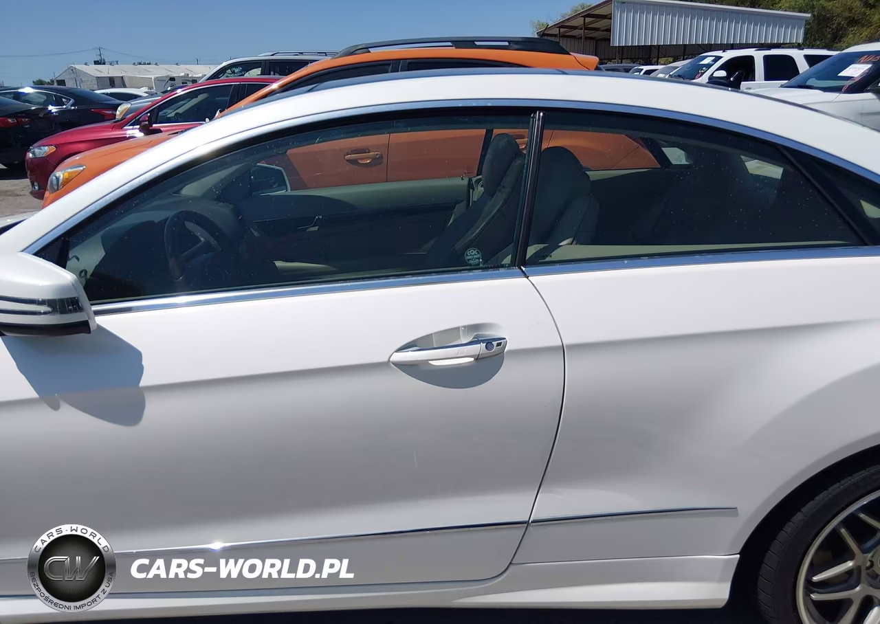 2010 Mercedes-Benz E 550 VIN:WDDKJ7CB7AF031424 - 14