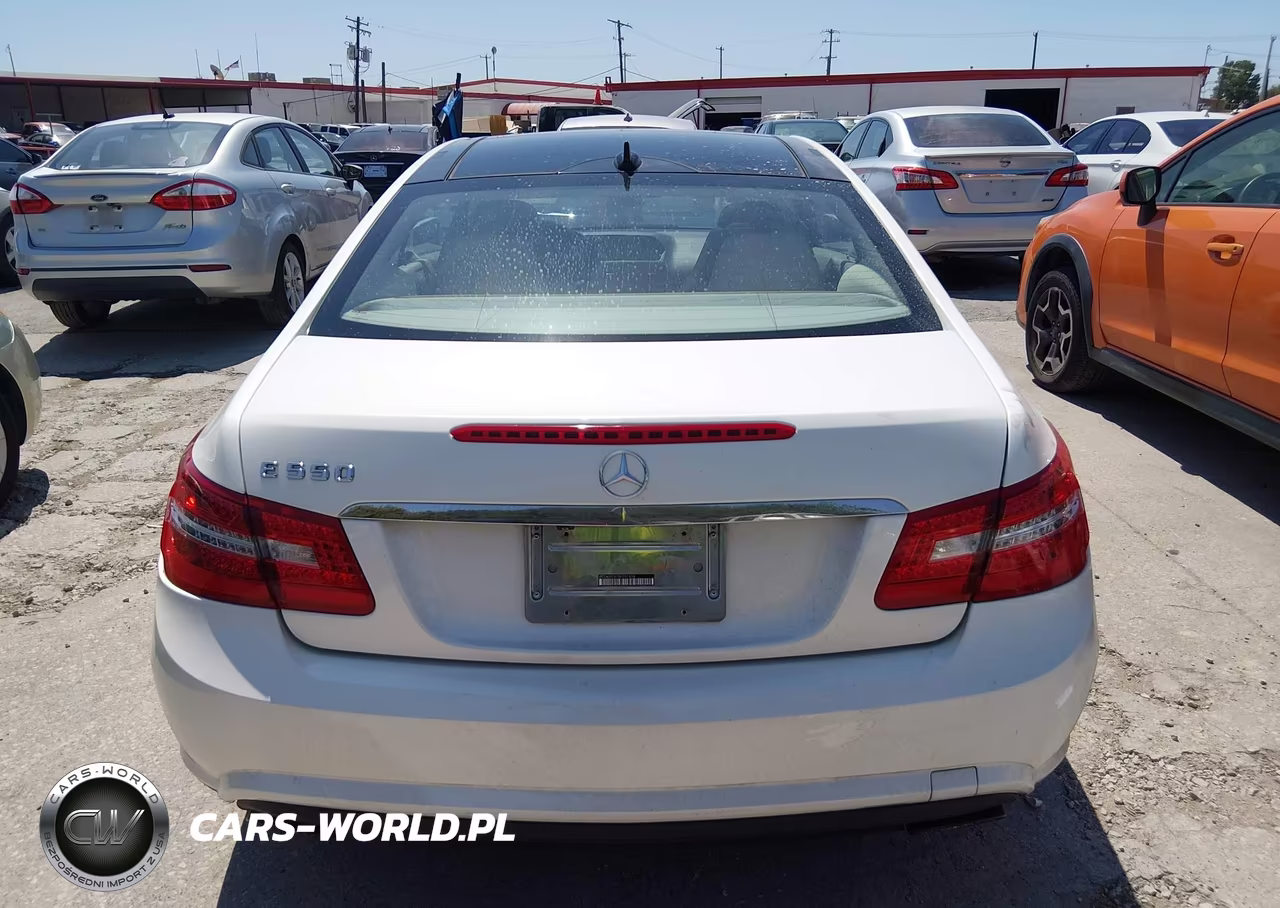 2010 Mercedes-Benz E 550 VIN:WDDKJ7CB7AF031424 - 16
