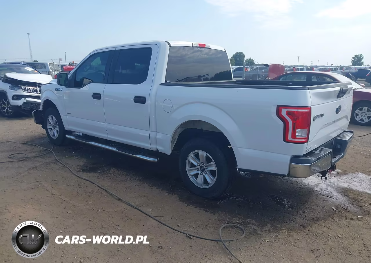 2016 Ford F-150 Xlt VIN:1FTEW1CG9GFA16143 - 3