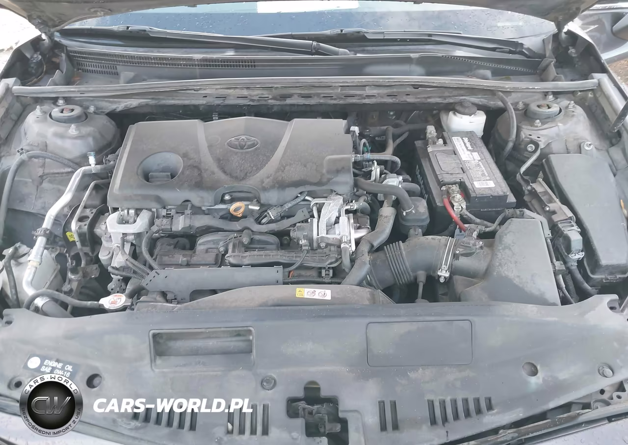 2019 Toyota Camry Le VIN:4T1B11HK8KU250398 - 10