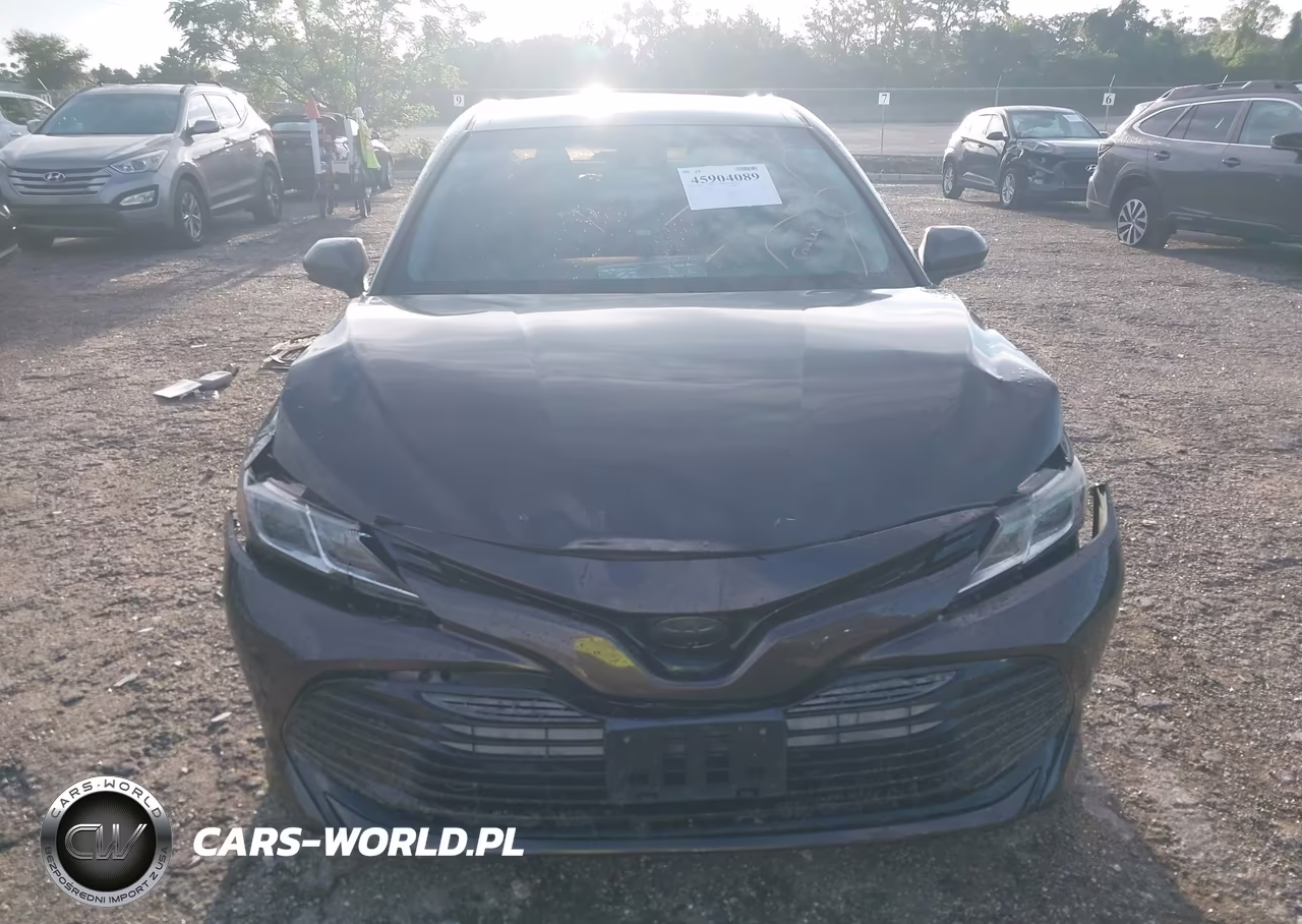 2019 Toyota Camry Le VIN:4T1B11HK8KU250398 - 12