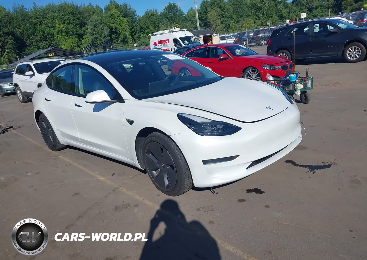 2023 Tesla Model 3 Rear-Wheel Drive