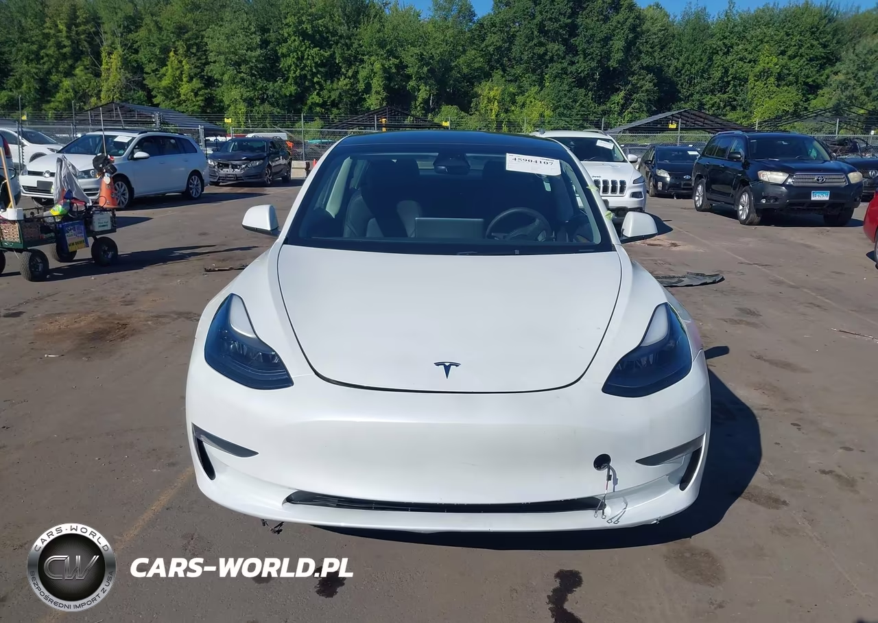 2023 Tesla Model 3 Rear-Wheel Drive VIN:5YJ3E1EA2PF540807 - 11