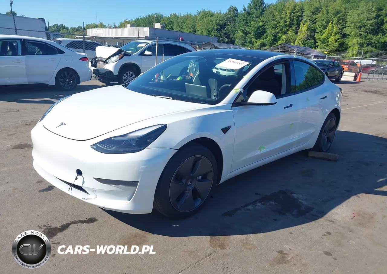 2023 Tesla Model 3 Rear-Wheel Drive VIN:5YJ3E1EA2PF540807 - 2