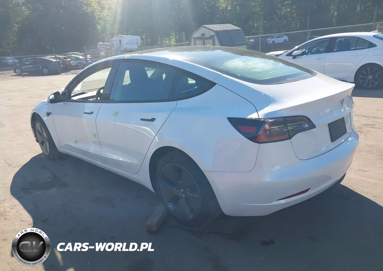 2023 Tesla Model 3 Rear-Wheel Drive VIN:5YJ3E1EA2PF540807 - 3