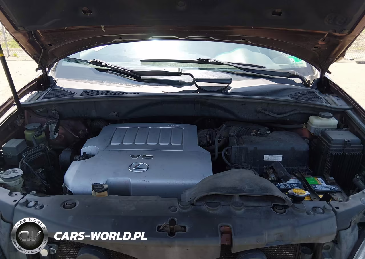 2008 Lexus Rx 350 VIN:JTJHK31U182042139 - 10
