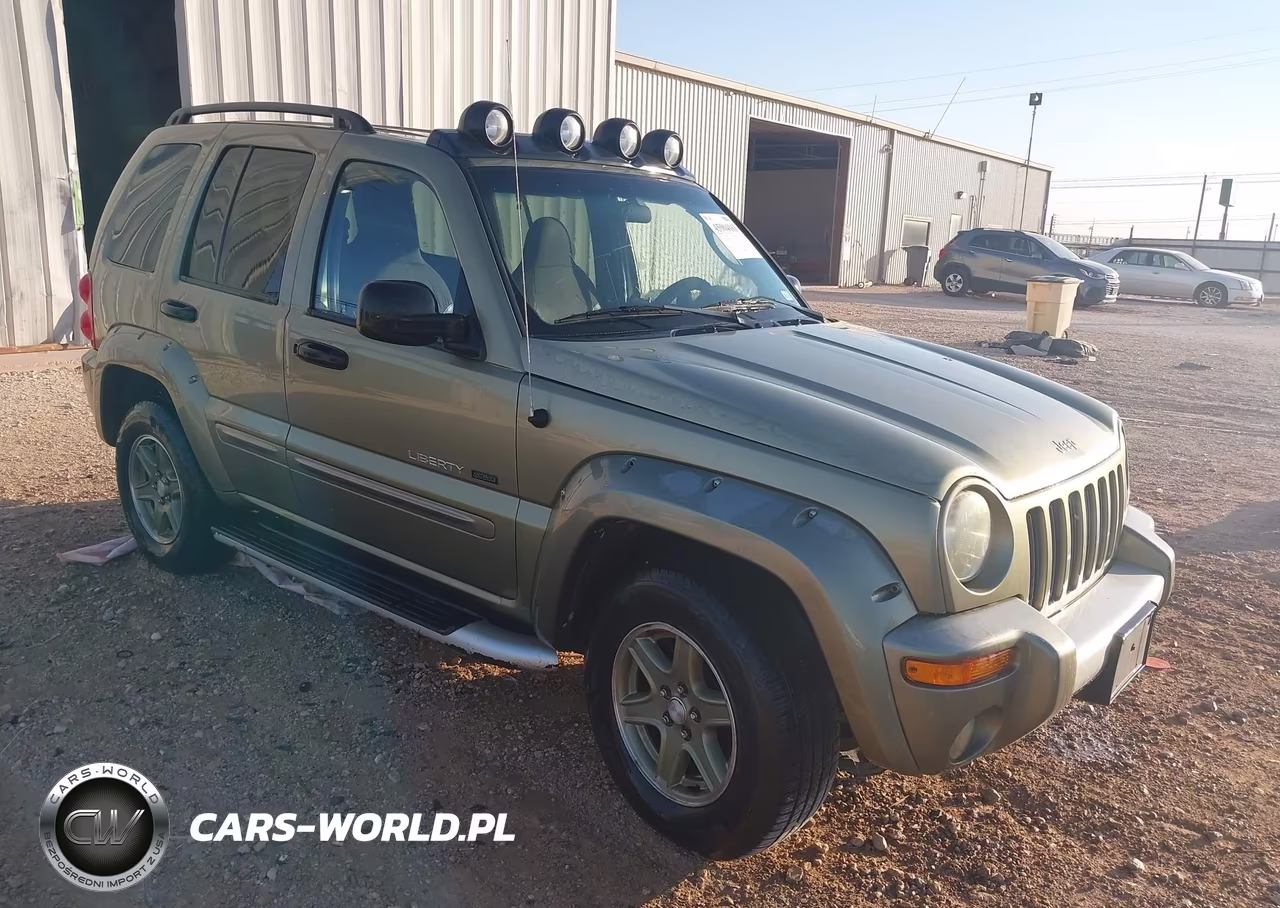 2002 Jeep Liberty Renegade