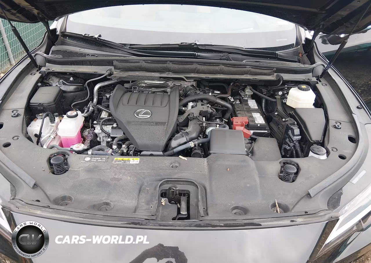 2024 Lexus Rx 350 Premium Plus VIN:2T2BAMCA4RC082881 - 10
