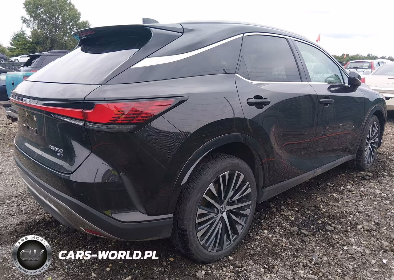 2024 Lexus Rx 350 Premium Plus VIN:2T2BAMCA4RC082881 - 4