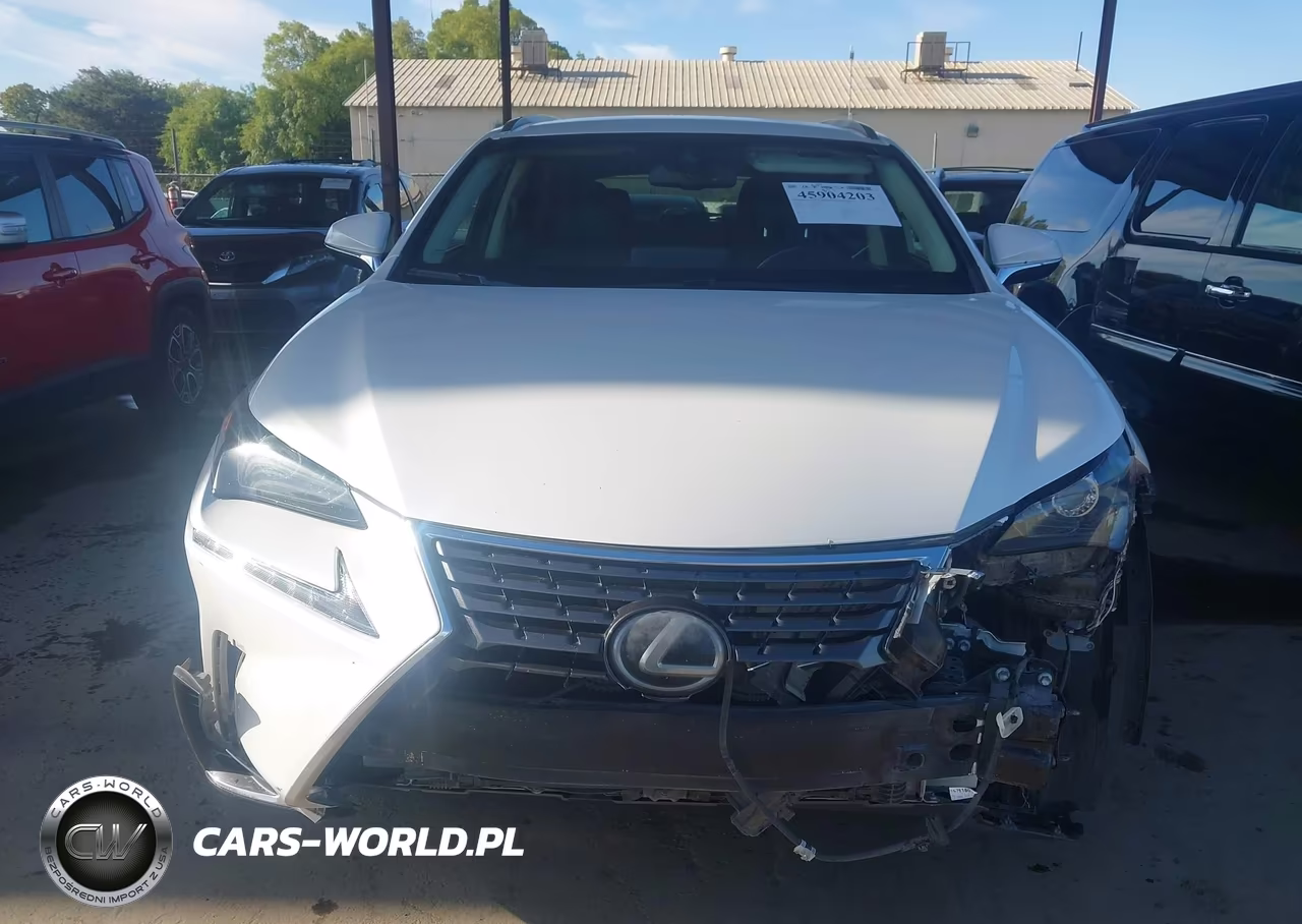 2019 Lexus Nx 300 VIN:JTJYARBZ3K2125353 - 12