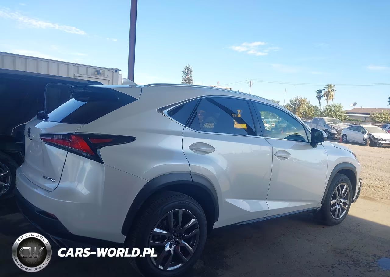 2019 Lexus Nx 300 VIN:JTJYARBZ3K2125353 - 13
