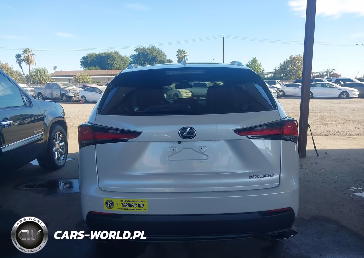2019 Lexus Nx 300 VIN:JTJYARBZ3K2125353 - 16