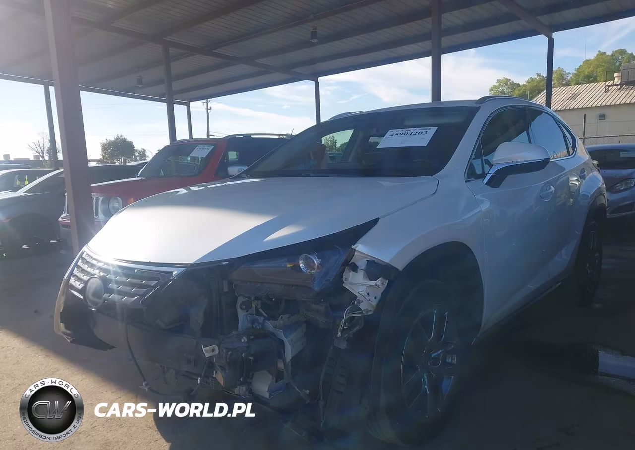 2019 Lexus Nx 300 VIN:JTJYARBZ3K2125353 - 2