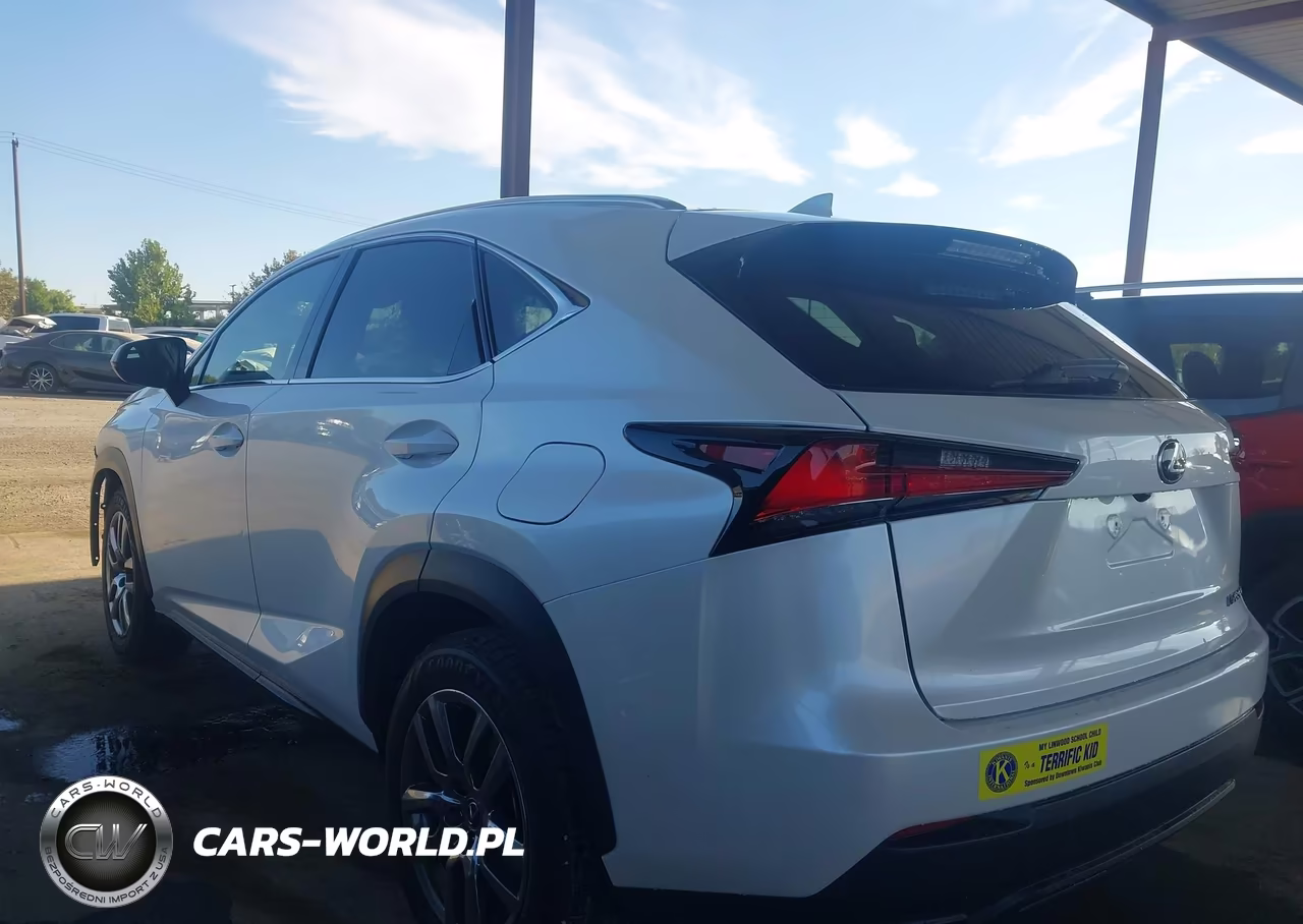 2019 Lexus Nx 300 VIN:JTJYARBZ3K2125353 - 3