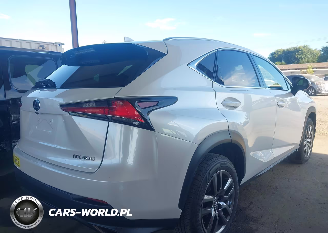 2019 Lexus Nx 300 VIN:JTJYARBZ3K2125353 - 4