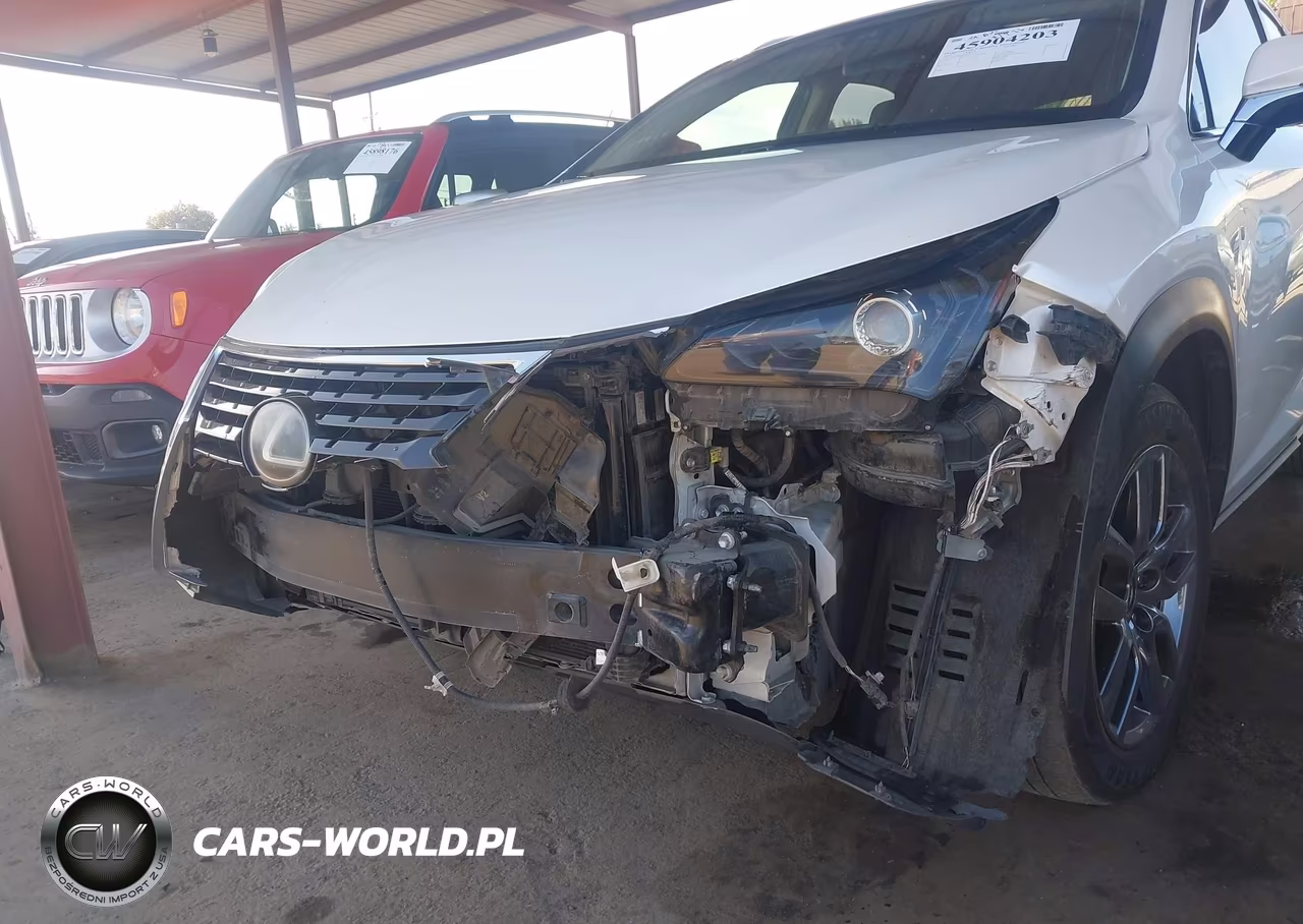 2019 Lexus Nx 300 VIN:JTJYARBZ3K2125353 - 6