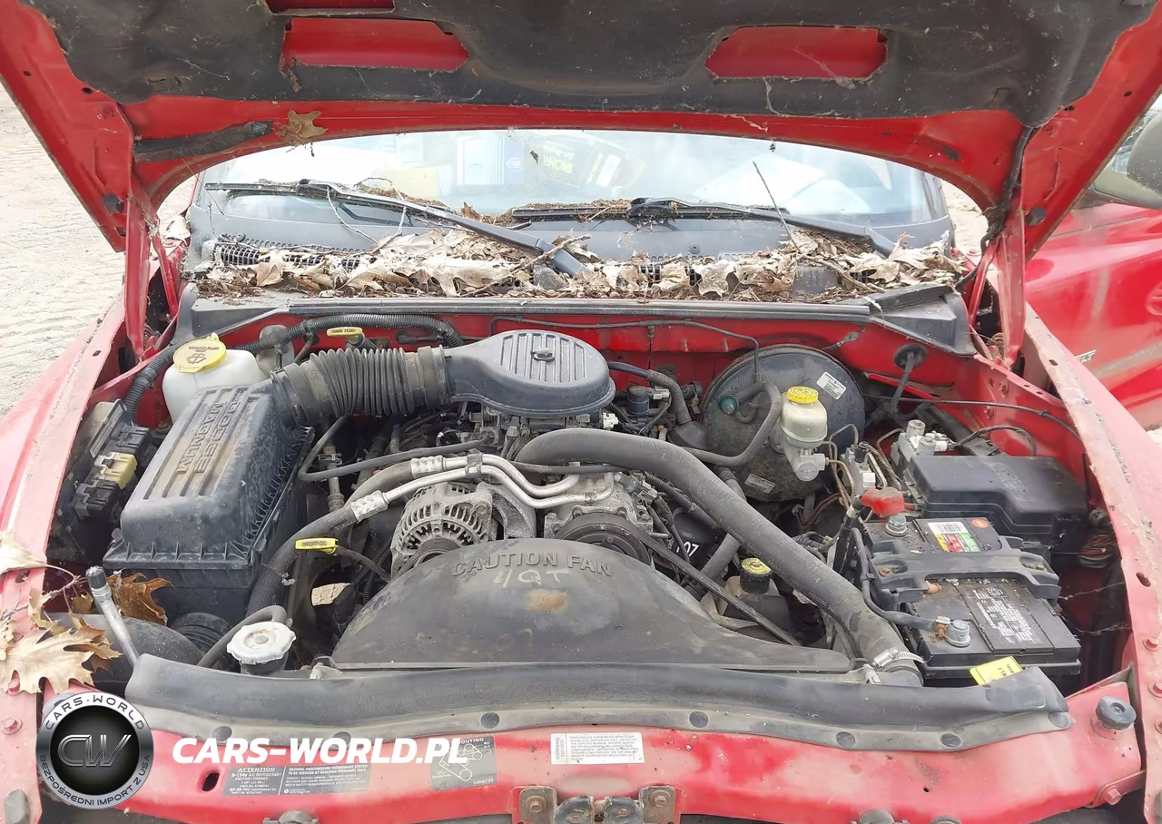 1997 Dodge Dakota Slt-Sport VIN:1B7GL23X2VS112756 - 10