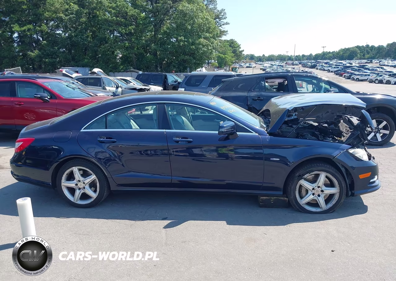 2012 Mercedes-Benz Cls 550 4Matic VIN:WDDLJ9BB7CA036415 - 13
