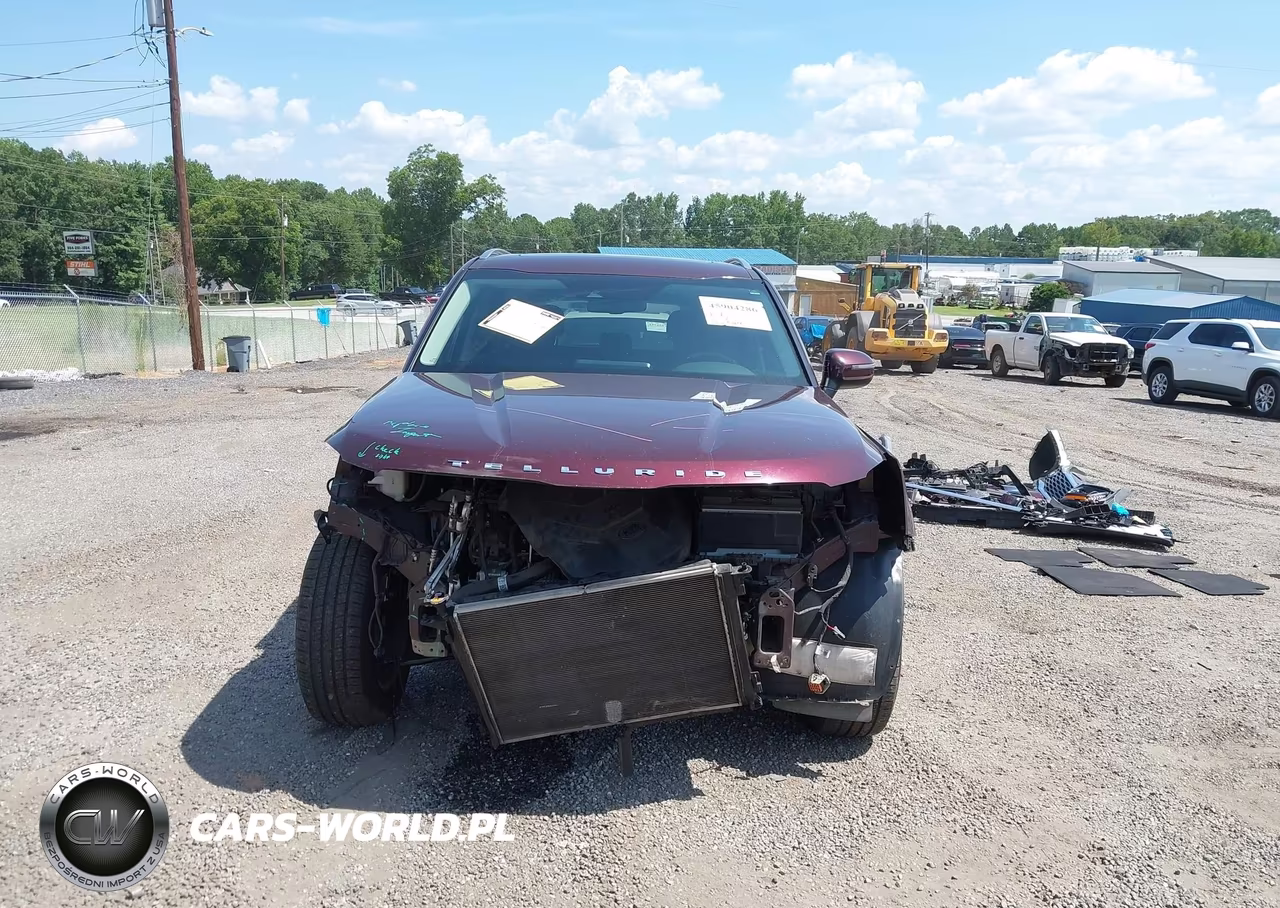 2020 Kia Telluride Ex VIN:5XYP34HC6LG031148 - 13
