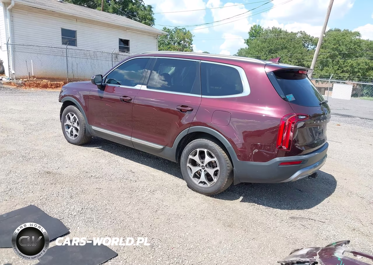 2020 Kia Telluride Ex VIN:5XYP34HC6LG031148 - 3