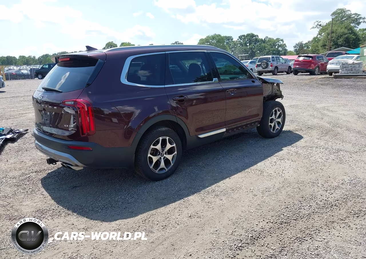 2020 Kia Telluride Ex VIN:5XYP34HC6LG031148 - 4