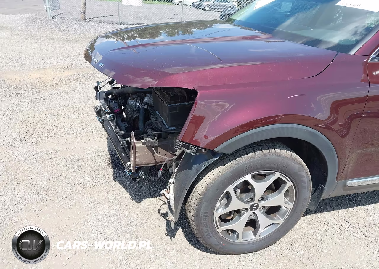 2020 Kia Telluride Ex VIN:5XYP34HC6LG031148 - 6