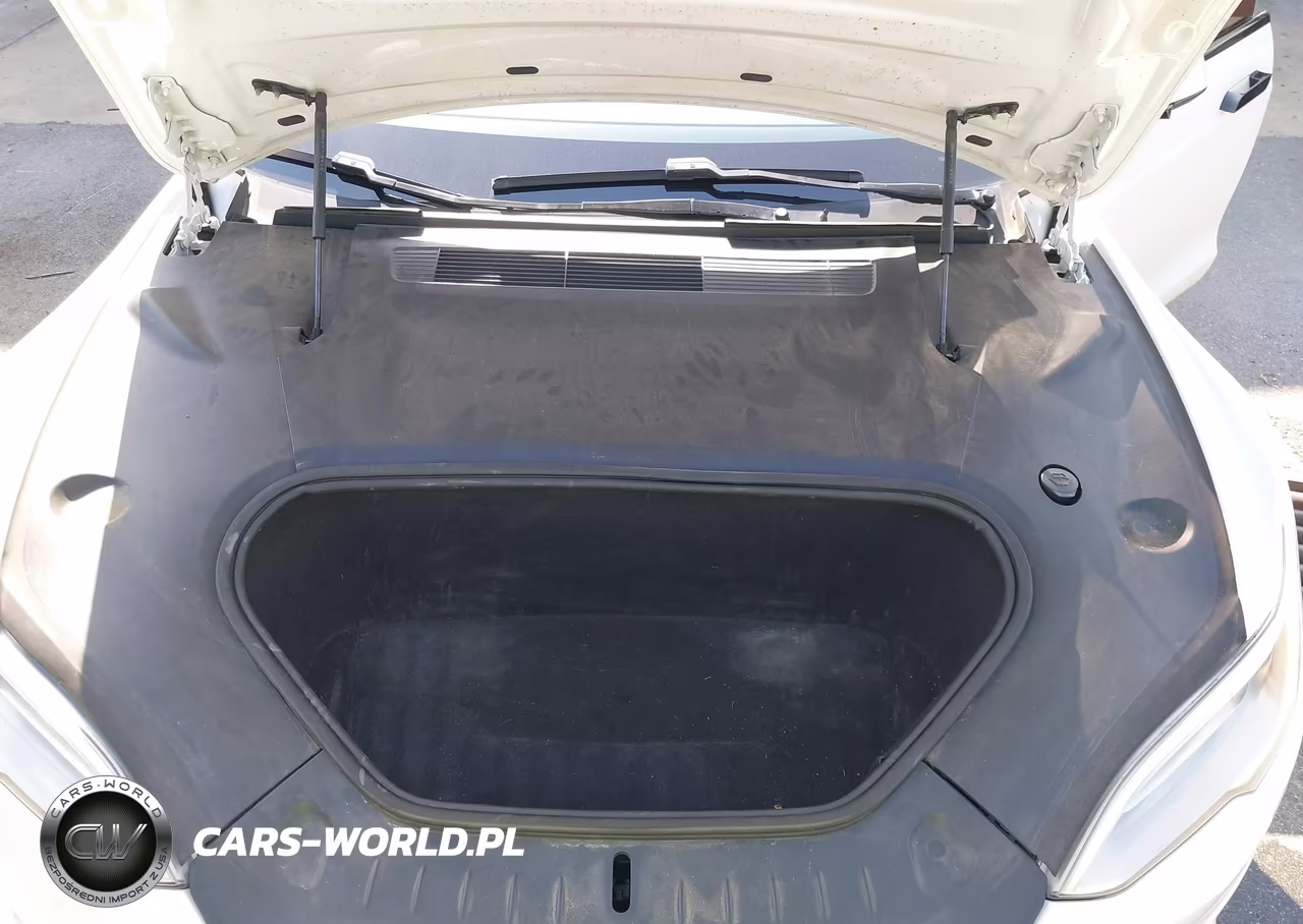 2021 Tesla Model S Long Range Dual Motor All-Wheel Drive VIN:5YJSA1E54MF428483 - 10