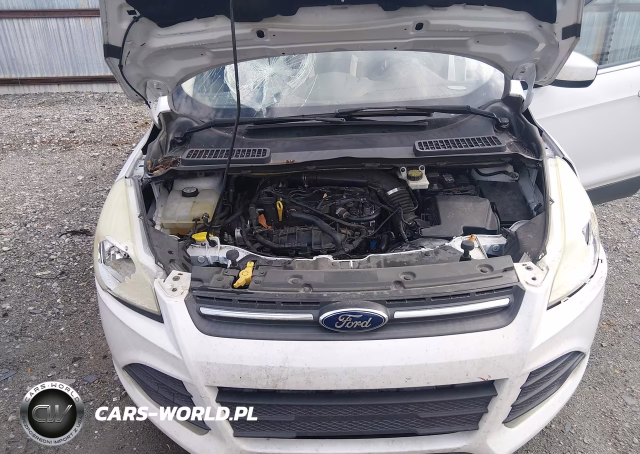 2014 Ford Escape Se VIN:1FMCU0GX5EUE42059 - 10