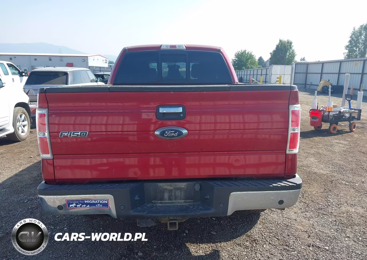 2013 Ford F-150 Xlt VIN:1FTFW1ET0DFD56680 - 16