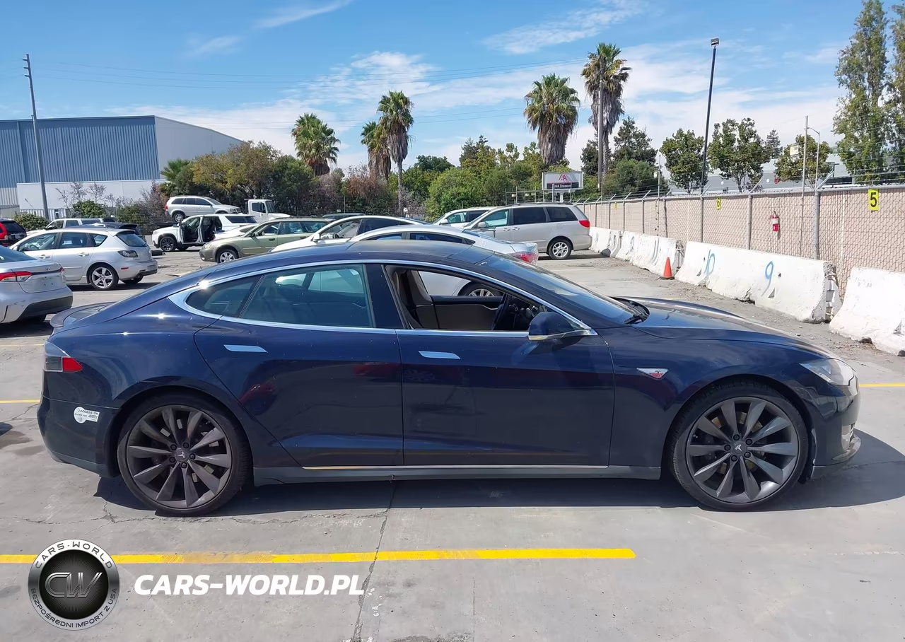 2013 Tesla Model S Performance VIN:5YJSA1DP8DFP06935 - 14
