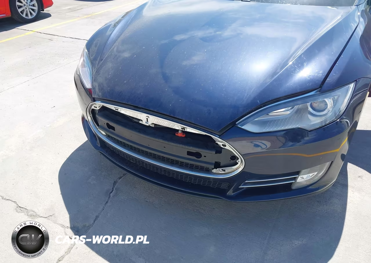 2013 Tesla Model S Performance VIN:5YJSA1DP8DFP06935 - 6