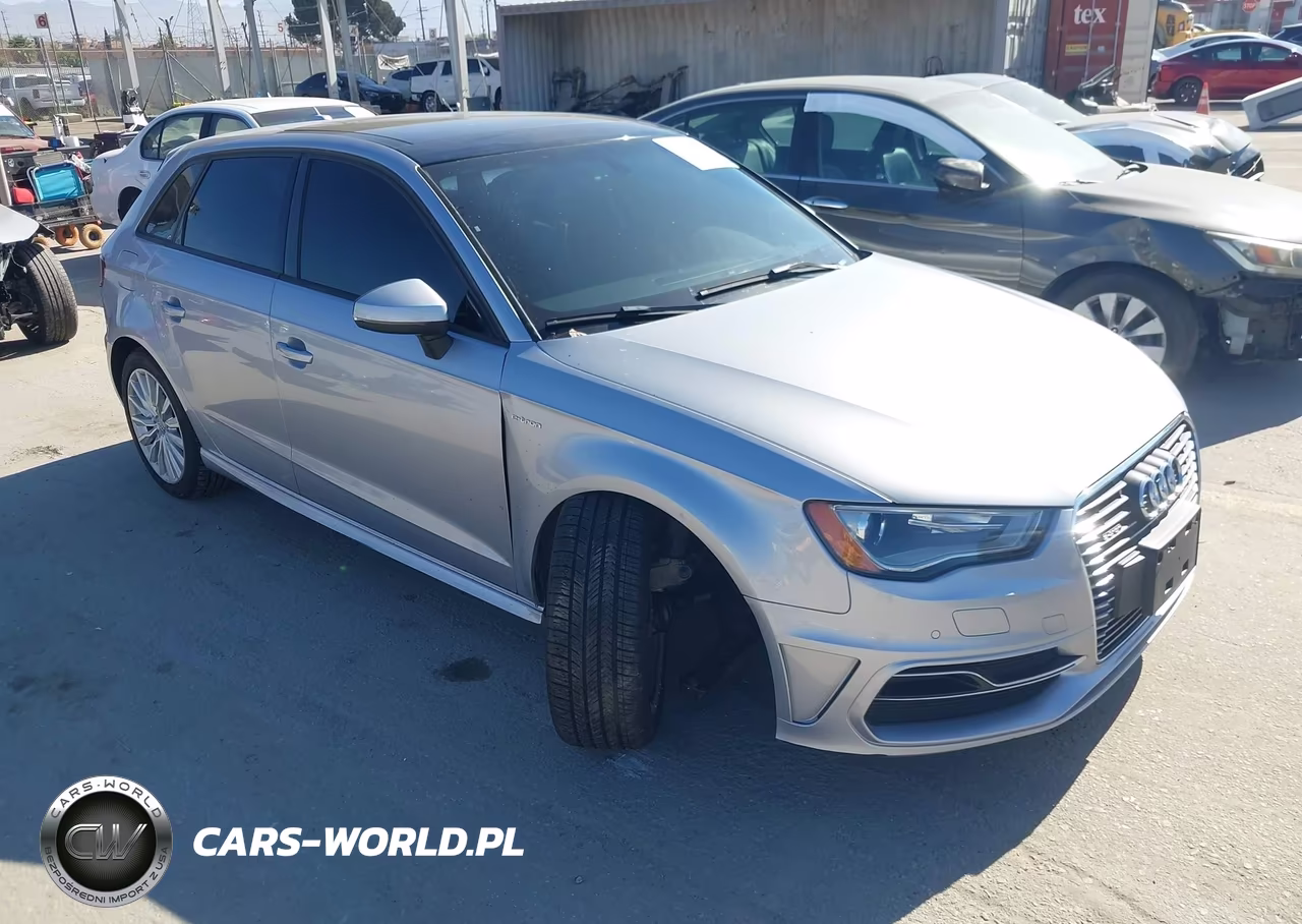 2016 Audi A3 E-Tron 1.4T Premium VIN:WAUUPBFFXGA088464 - 1