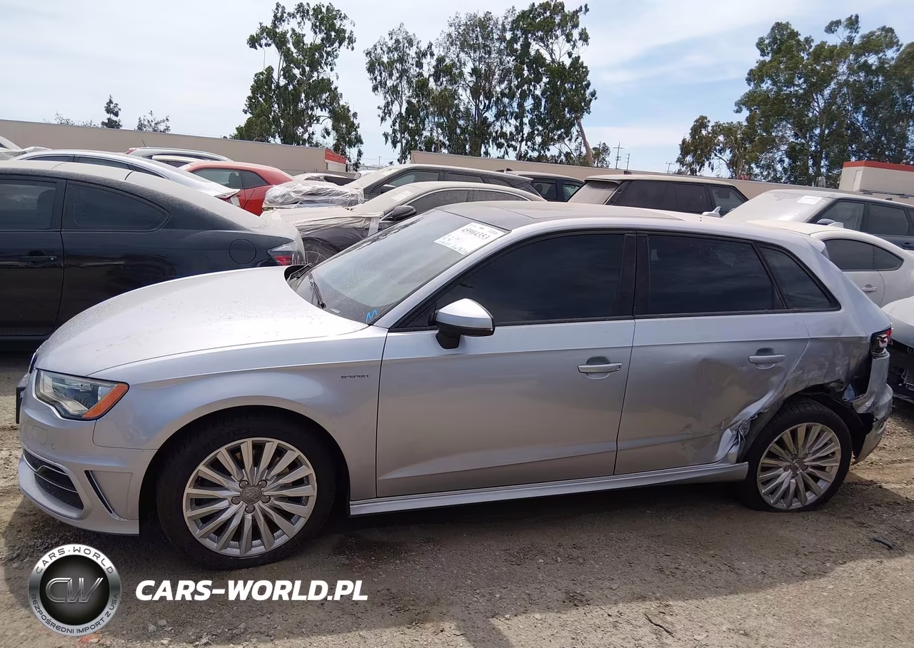 2016 Audi A3 E-Tron 1.4T Premium VIN:WAUUPBFFXGA088464 - 16