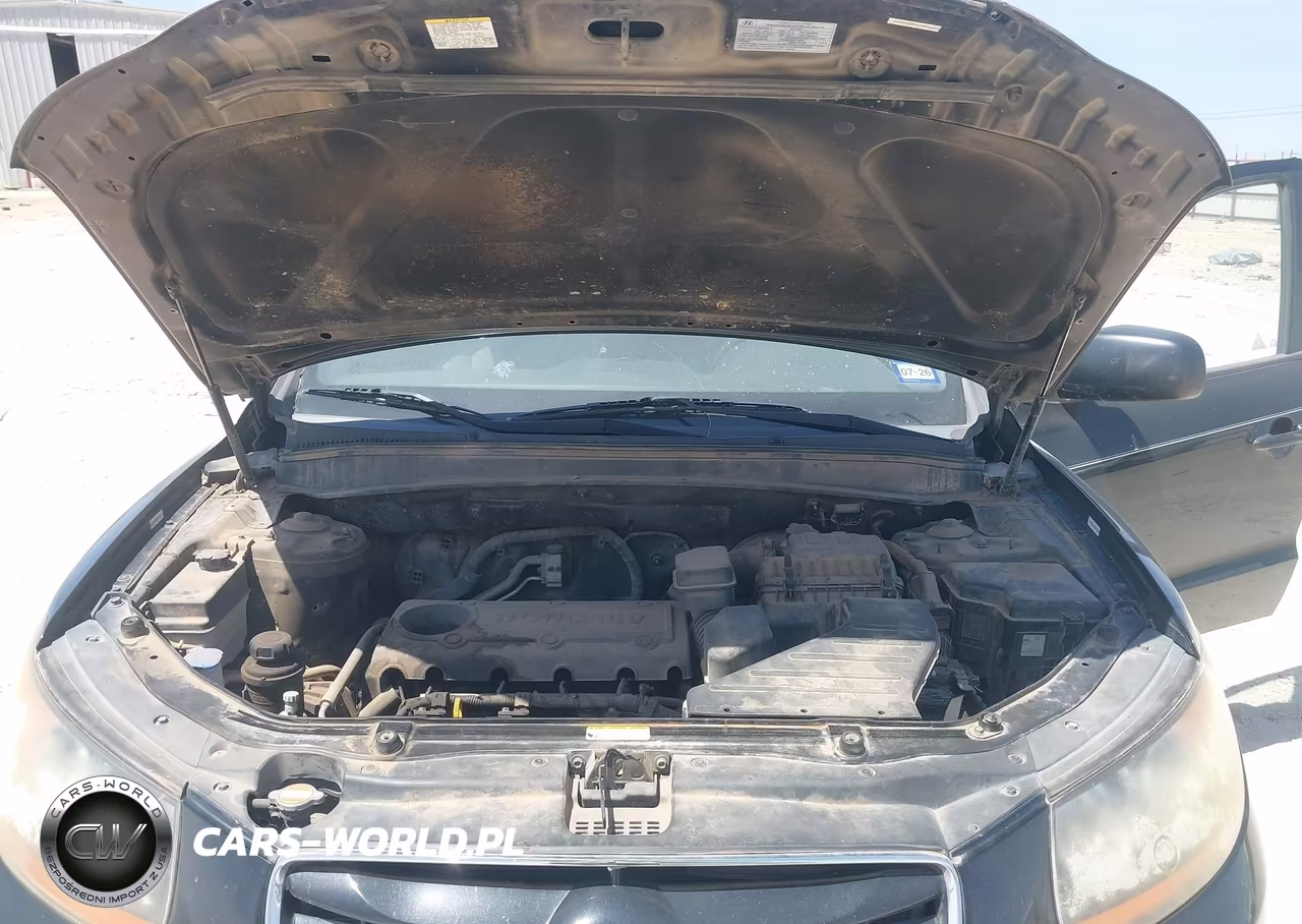 2010 Hyundai Santa Fe Gls VIN:5NMSGDAB3AH347948 - 10