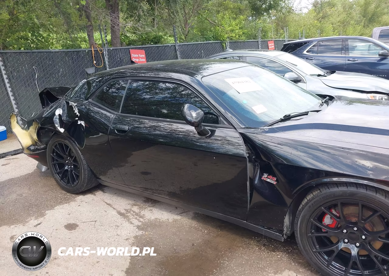 2015 Dodge Challenger R-T VIN:2C3CDZAT4FH719243 - 17