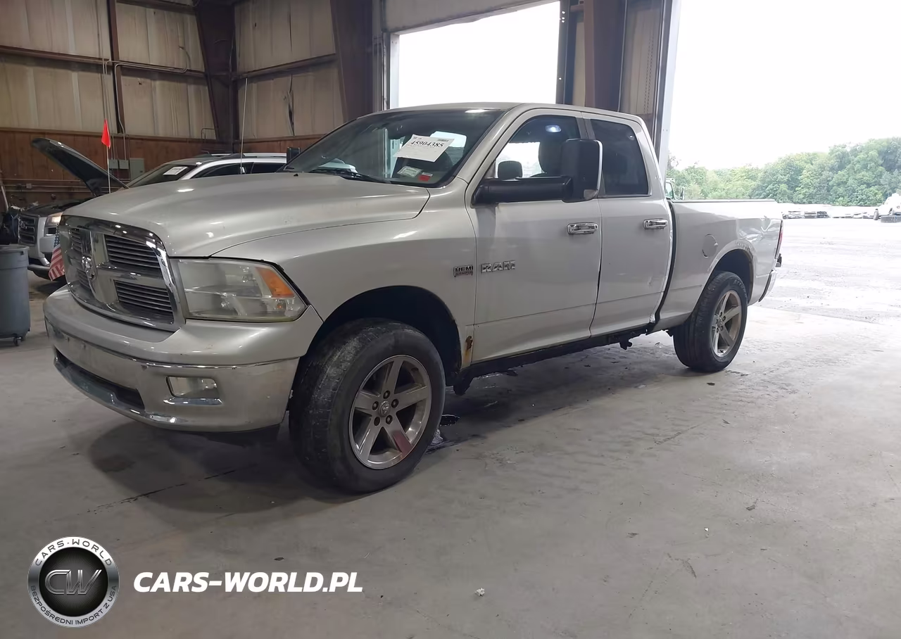 2010 Dodge Ram 1500 Slt-Sport-Trx VIN:1D7RV1GT4AS256426 - 2